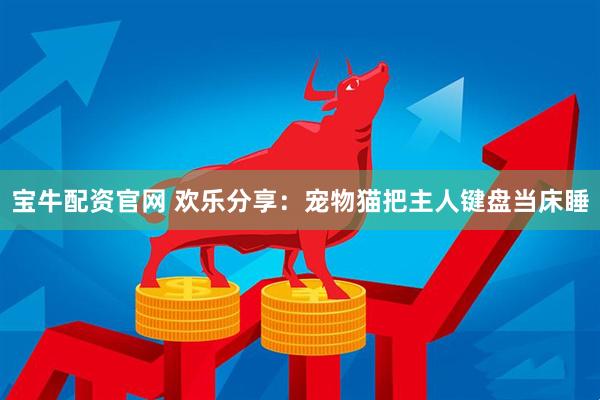 宝牛配资官网 欢乐分享：宠物猫把主人键盘当床睡