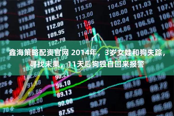 鑫海策略配资官网 2014年，3岁女娃和狗失踪，寻找未果，11天后狗独自回来报警