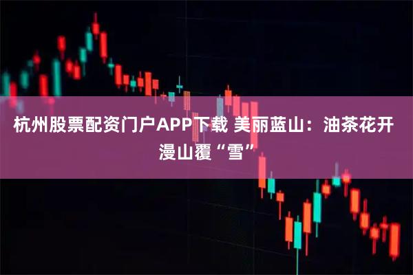 杭州股票配资门户APP下载 美丽蓝山：油茶花开 漫山覆“雪”