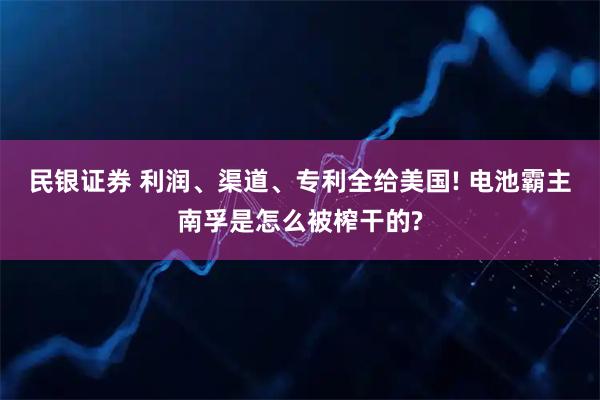 民银证券 利润、渠道、专利全给美国! 电池霸主南孚是怎么被榨干的?