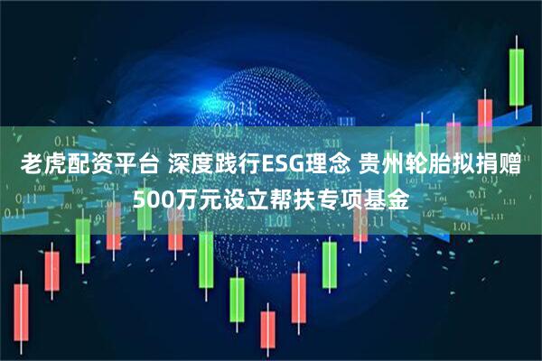老虎配资平台 深度践行ESG理念 贵州轮胎拟捐赠500万元设立帮扶专项基金