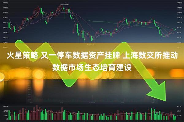 火星策略 又一停车数据资产挂牌 上海数交所推动数据市场生态培育建设