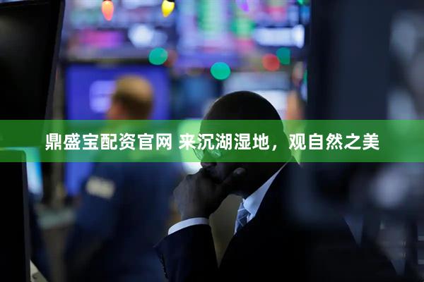 鼎盛宝配资官网 来沉湖湿地，观自然之美