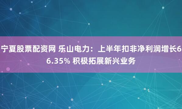 宁夏股票配资网 乐山电力：上半年扣非净利润增长66.35% 积极拓展新兴业务