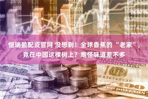 恒瑞盈配资官网 没想到！全球香蕉的 “老家”，竟在中国这棵树上？难怪味道差不多